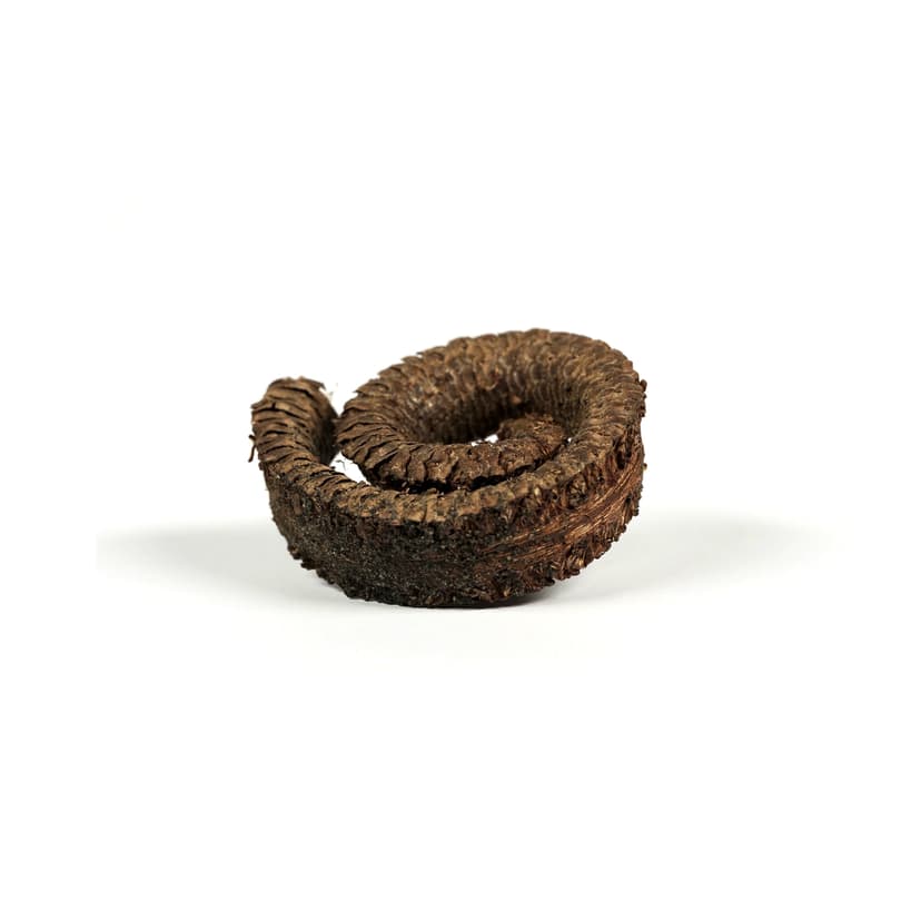 Spiralholz