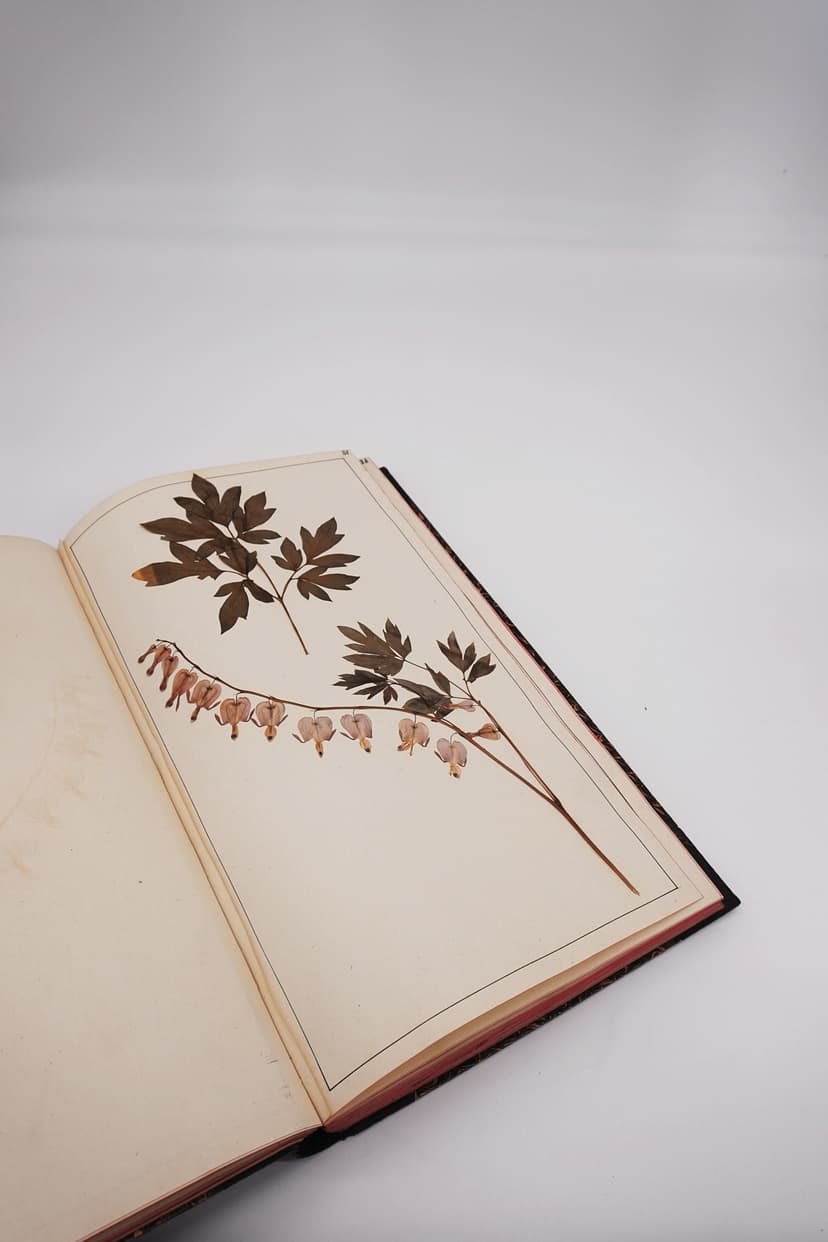 Die schönste Rechnung