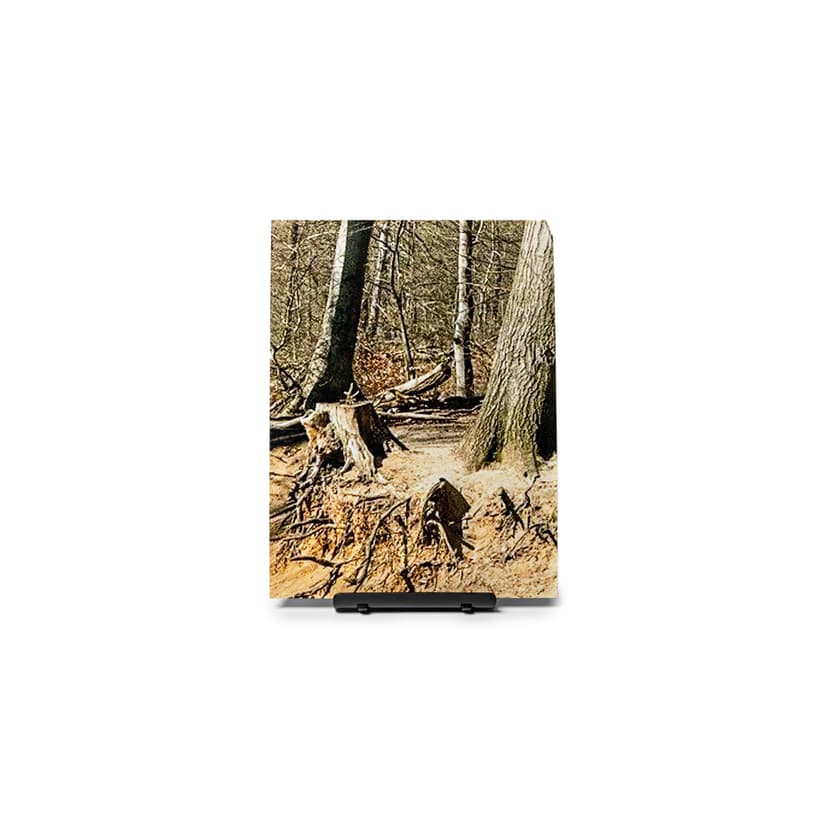 Noch bin ich kein Baum