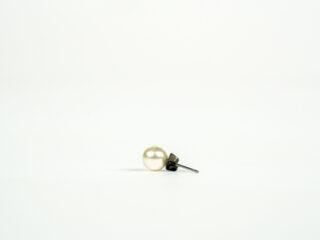 The pearl earring
